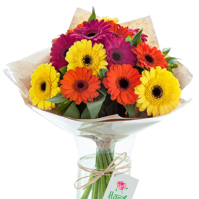 Standing as a testament to both craftsmanship and local charm, this vibrant mixed Gerbera daisy bouquet in a clear glass vase brightens the pure white setting-a signature offering by Northolt's dedicated florists. Generous clusters of large Gerberas in golden yellow, radiant orange, and deep magenta evoke the dynamic palette of a summer sunrise over Rectory Park. Each bloom is defined by a dramatic nearly black centre, providing striking contrast with the vivid petals that radiate optimism and vitality. Lush foliage peeks among the vibrant heads, lending the arrangement a touch of natural harmony inspired by Northolt's green open spaces. A rustic wrap of soft brown kraft paper and a glistening cellophane shell nestle around the bouquet, protecting and showcasing its cheerful masses. Inside the vase, cool water refreshes the visible stems, keeping the display fresh for days to come. A length of simple, natural twine, tied snugly around the stems, suspends a white gift tag featuring a classic rose motif-a subtle hint that this bouquet was assembled with both artistry and heart, perfect for elevating living rooms in Northolt or responding to special occasions across the area. The composition exudes festive joy, making it suitable for celebrations big or small, as well as thoughtful gestures of kindness or congratulations.