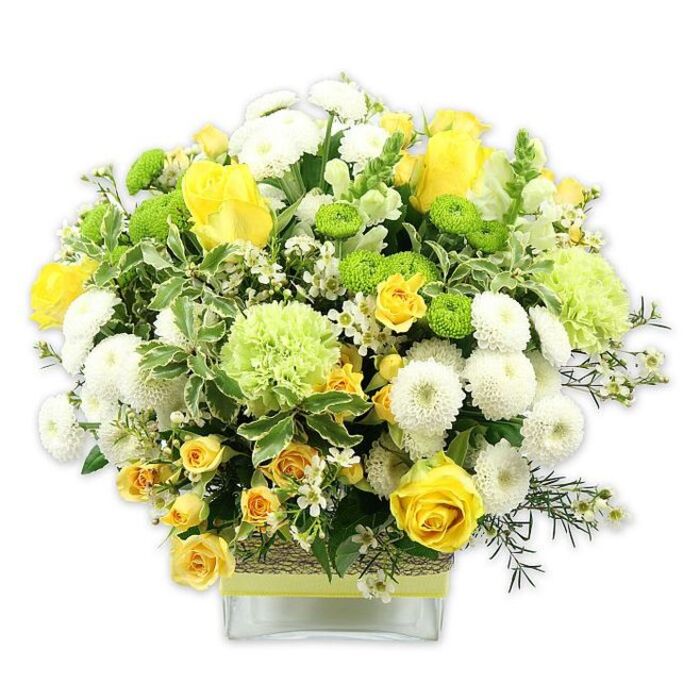 The photograph shows a vibrant floral arrangement dominated by shades of yellow, lime green, and white, carefully styled in a low, square glass vase on a seamless white backdrop. The bouquet is full and domed, with each flower type placed to balance colour, form, and texture. At the centre, rich yellow roses draw attention, some with their petals open in soft spirals, others in tighter buds that add dimension and a subtle sense of anticipation. Interwoven with these are clusters of petite yellow spray roses, offering layers of smaller blossoms that give the design an abundant, almost meadow-like feel. Nestled among the yellow tones are rounded white pompom chrysanthemums, whose tightly packed petals create soft, cushiony spheres that contrast gently with the smooth rose petals. Bright lime green button chrysanthemums punctuate the arrangement with tiny, globe-shaped blooms, adding freshness and a playful edge. Larger pale-green flowers, reminiscent of ruffled carnations or specialty green chrysanthemums, loosen the structure slightly and introduce a feathery movement. A generous collar of foliage frames the flowers: broad, variegated leaves with creamy white margins, darker green leaves with a subtle sheen, and finer, airy filler greens that extend delicately beyond the main mass of blooms. Throughout the bouquet, small white filler flowers with star-like petals appear like scattered points of light. Around the middle of the clear glass vase, a rustic band of woven natural fibre or bark is wrapped snugly, finished with a bright lime ribbon that matches the vivid green blooms above. The result is a composition that feels bright, fresh, and celebratory, perfectly suited to a Northolt home near Lime Tree Park or as a cheerful delivery to an office by Mandeville Road, ideal for birthdays, congratulations, or simply lifting someone's spirits.
